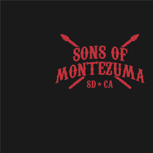 Load image into Gallery viewer, "SOM Skull" T-shirt