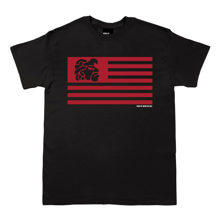 Aztec Nation Flag T-shirt